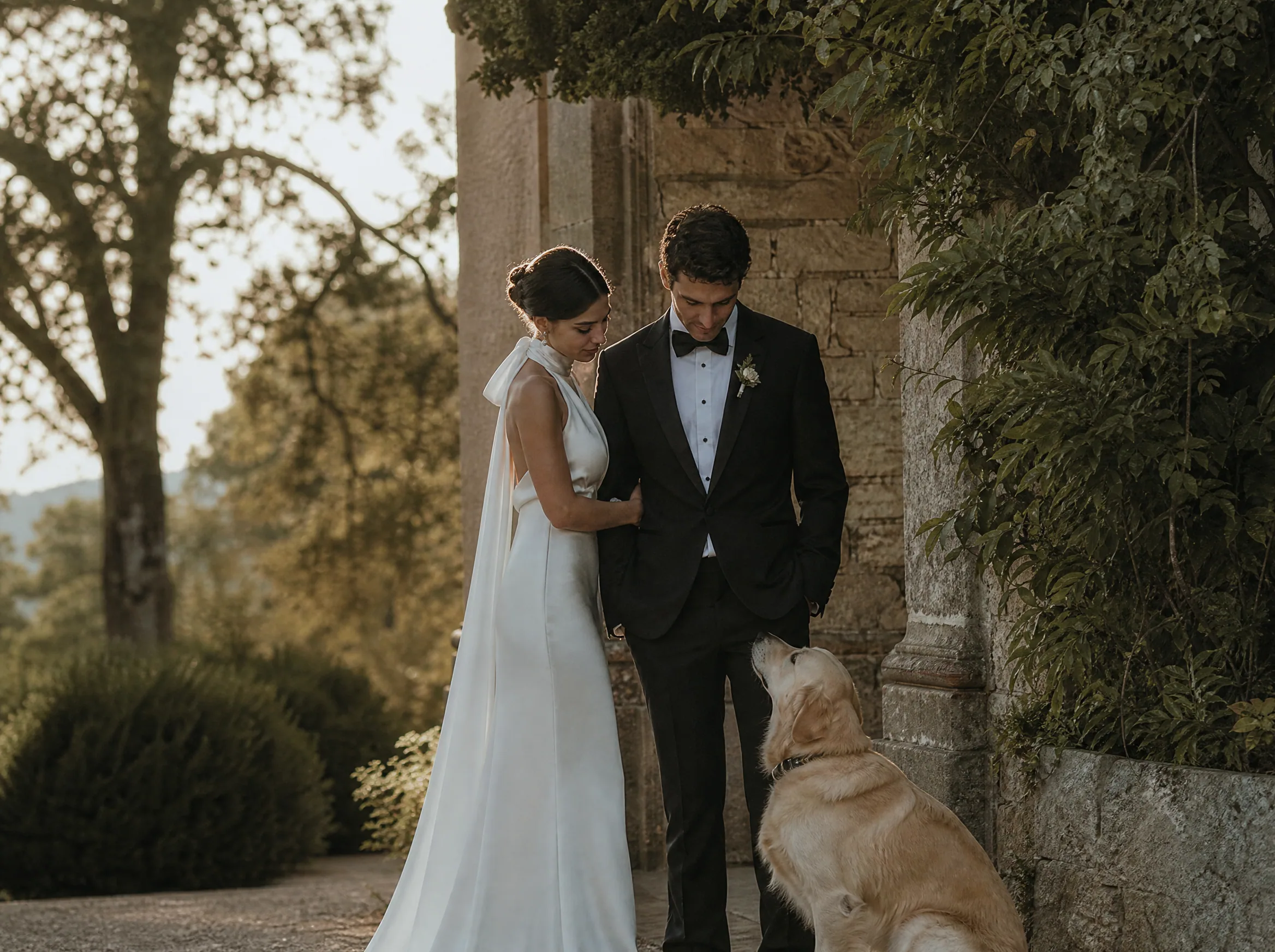 Destination wedding editorial: Understanding Pet Logistics for Destination Weddings