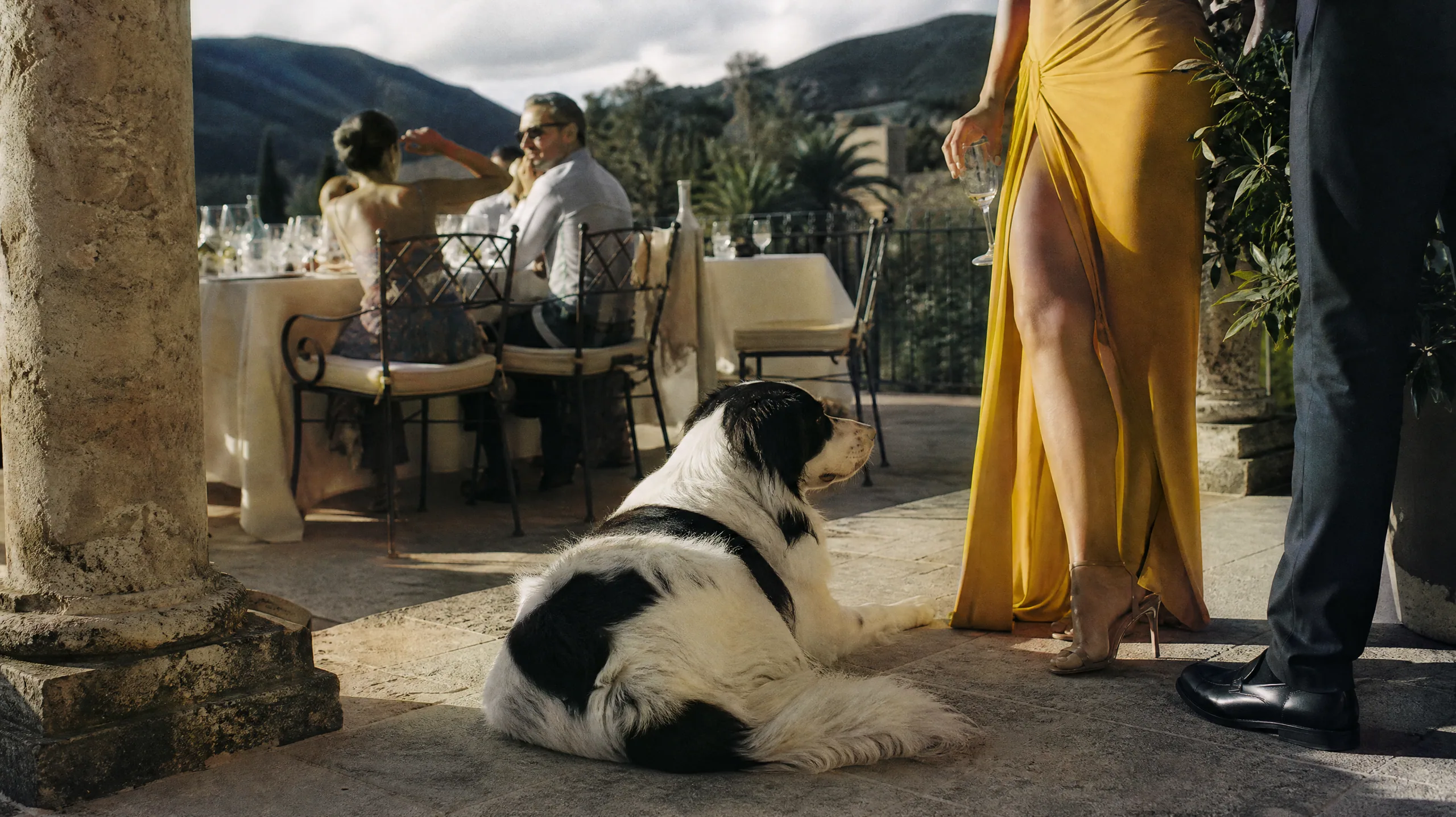 Pet and Dog Logistics for Private-Estate Destination Weddings in Spain