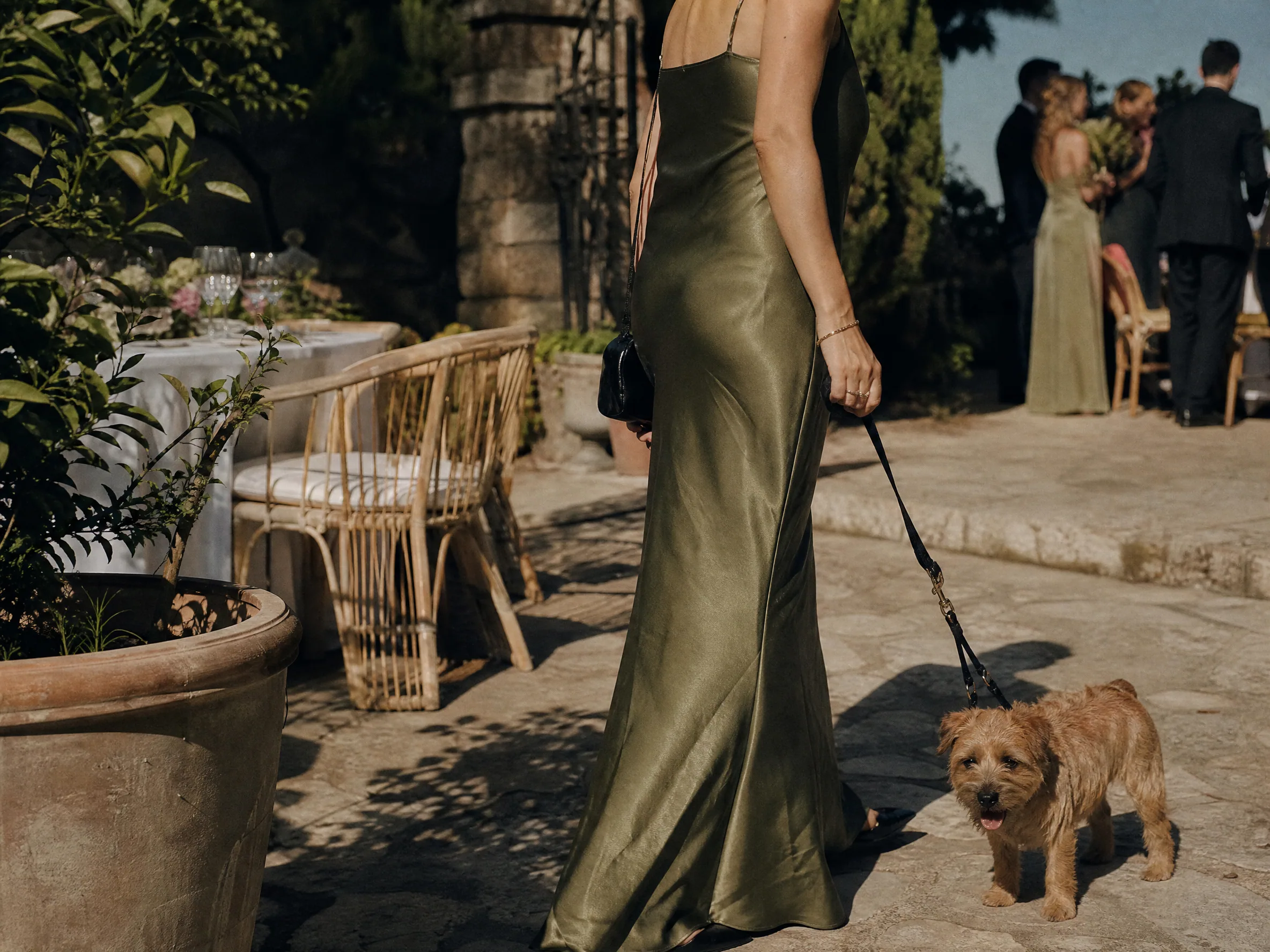 Luxury wedding detail: Choosing a Pet-Friendly Venue