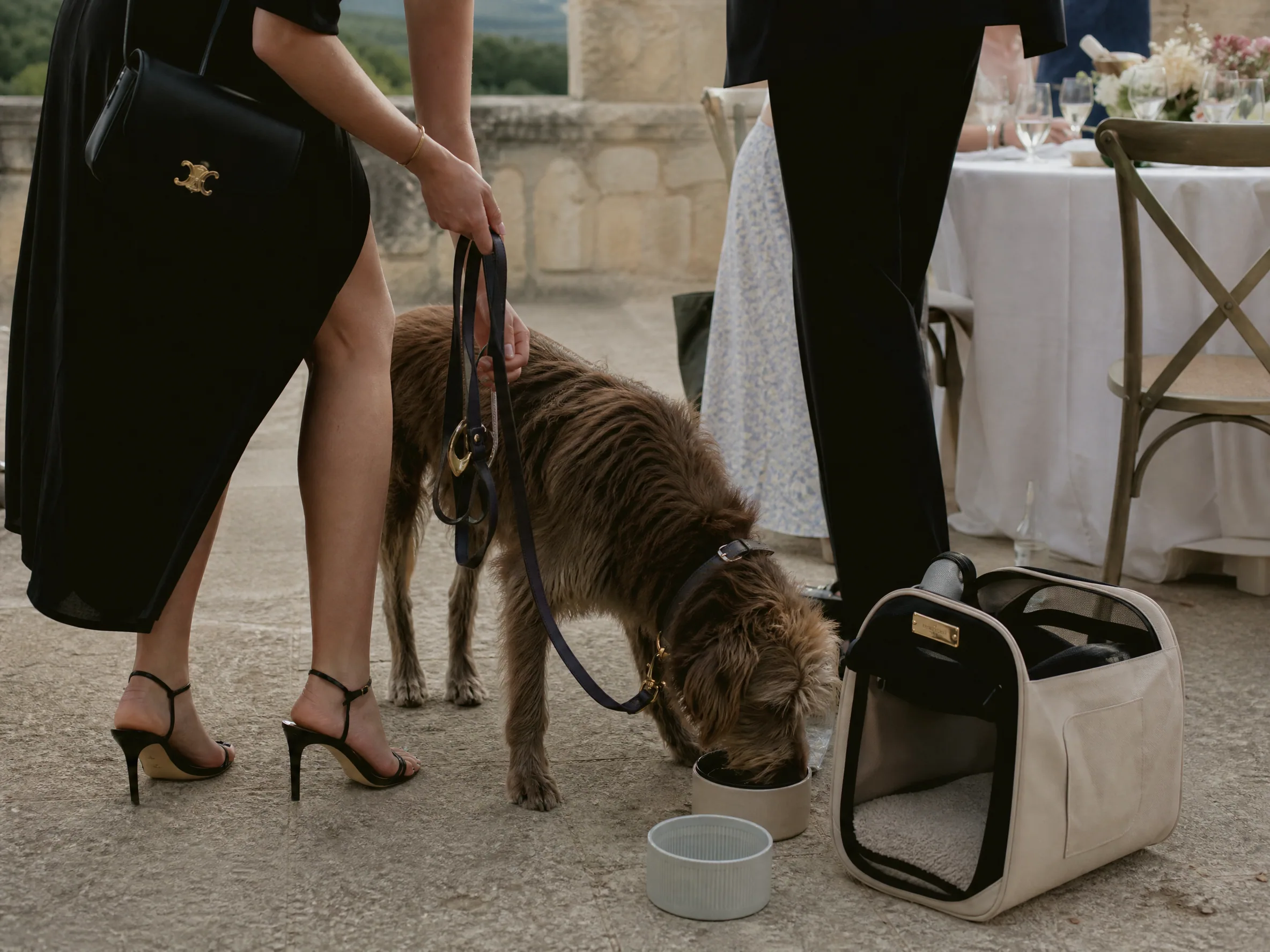 Wedding reception detail: Travel Logistics for Pets