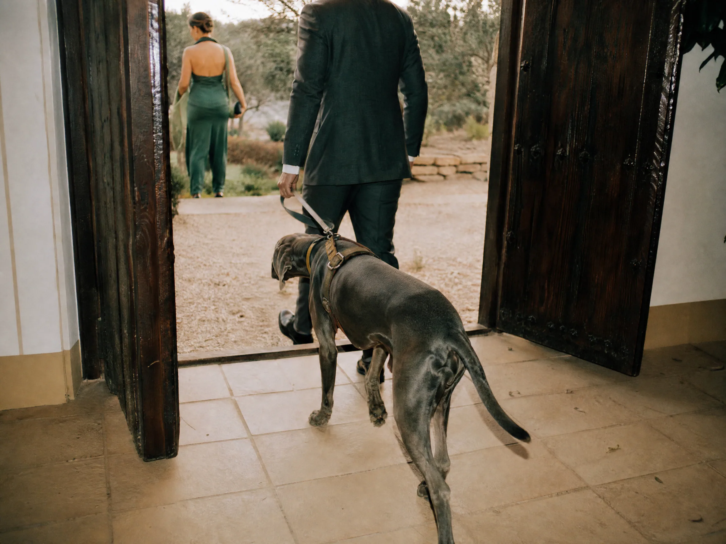 Destination wedding in Spain: Preparing Your Pet for the Event