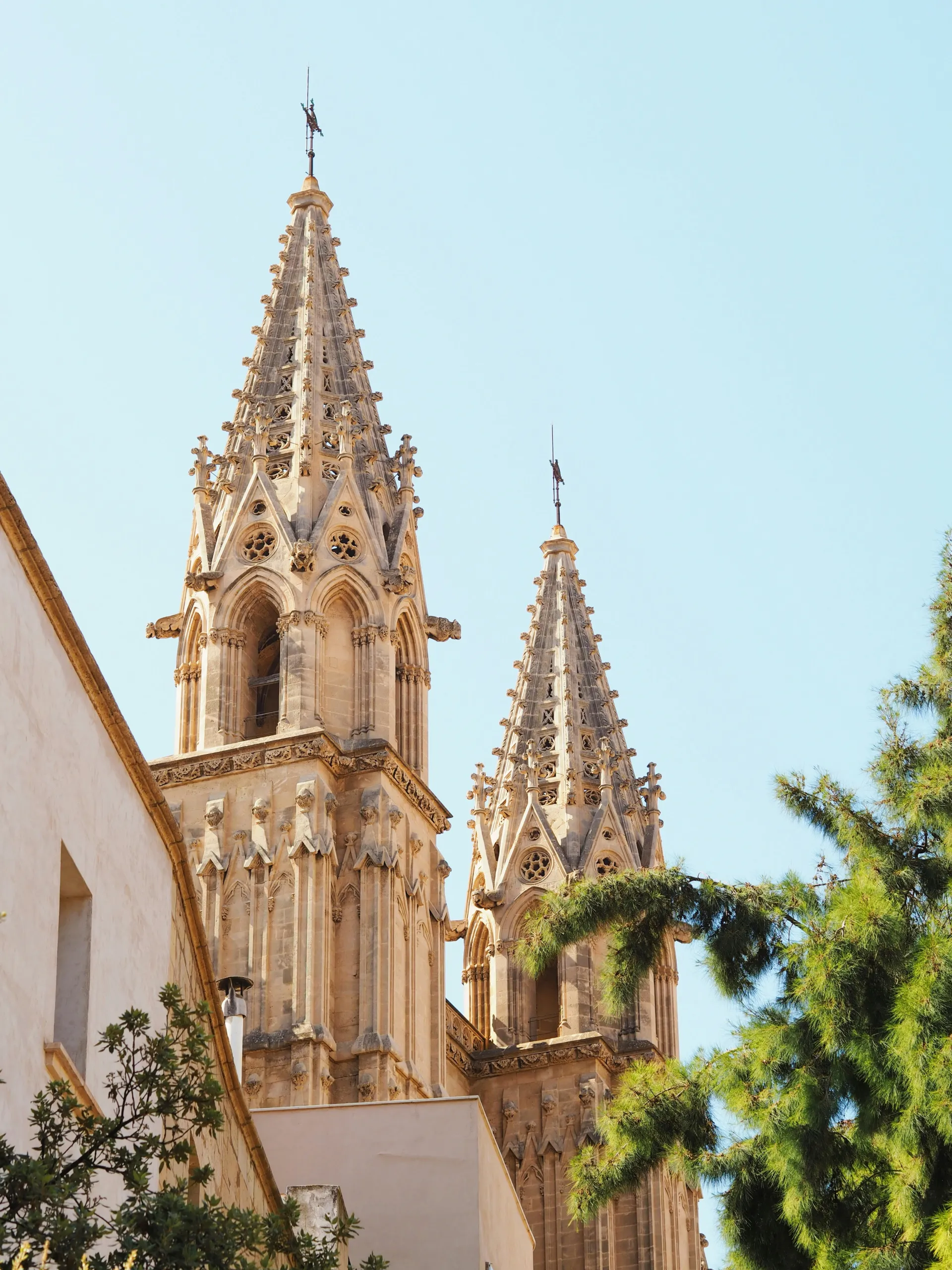 Wedding Videographer Mallorca 4