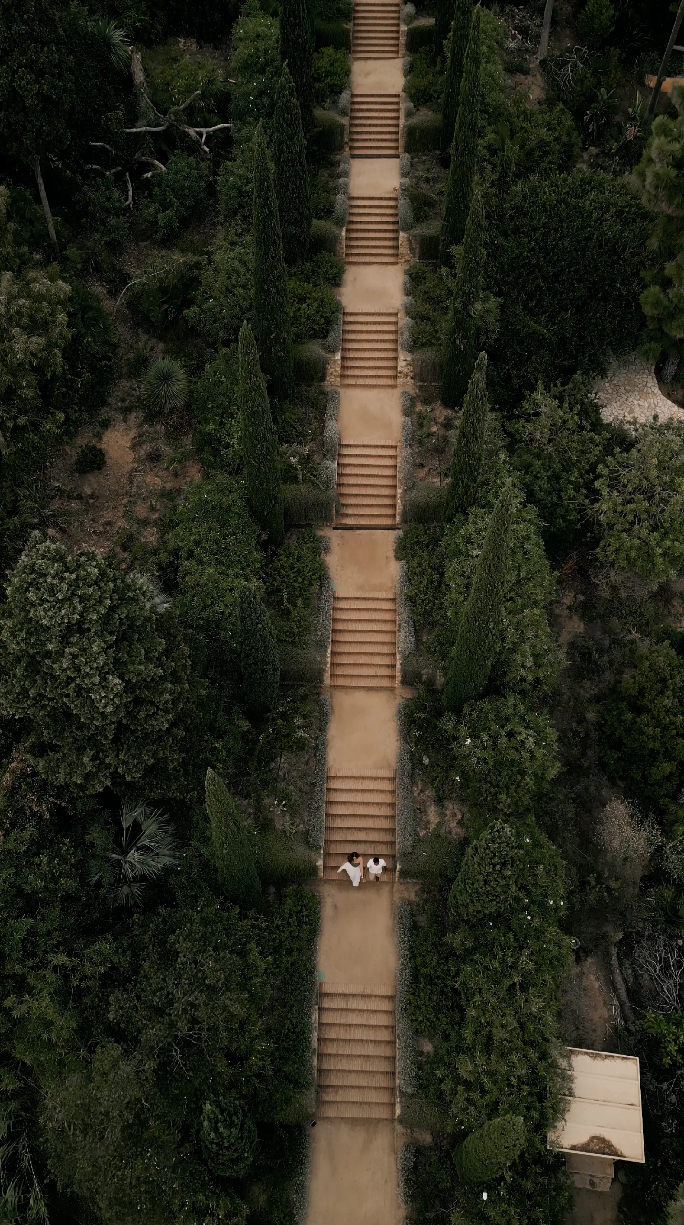 Jardí Botànic Marimurtra wedding
